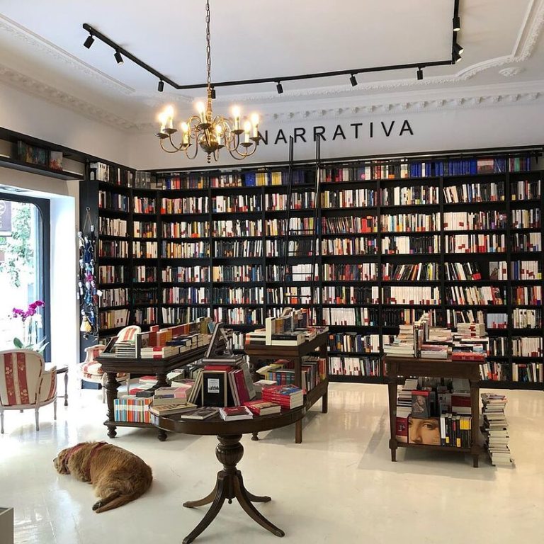 libreria y un perro